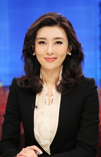 海峡两岸介绍,海峡两岸李红演的是谁 - 电视吧